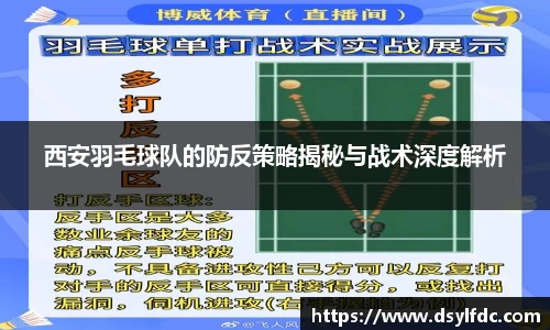 球速体育平台登录入口