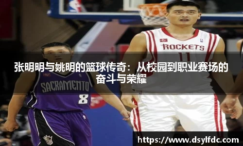 球速体育平台登录入口